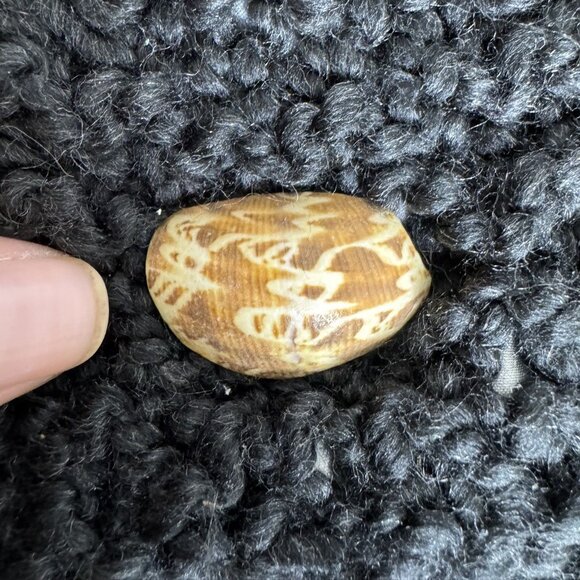 Vintage Black Crochet Knit Satin-Lined Pouch Coin Purse Mini-Wallet, Shell Clasp - Picture 3 of 7